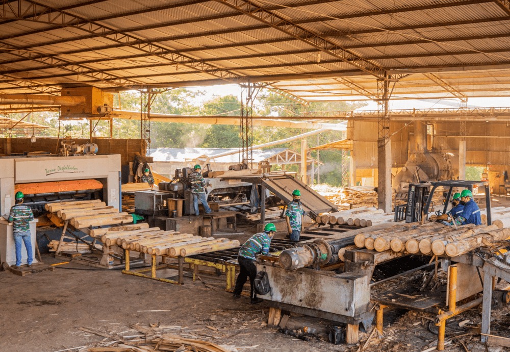 La Federación Paraguaya de Madereros arranca este miércoles su “Semana de la Madera”